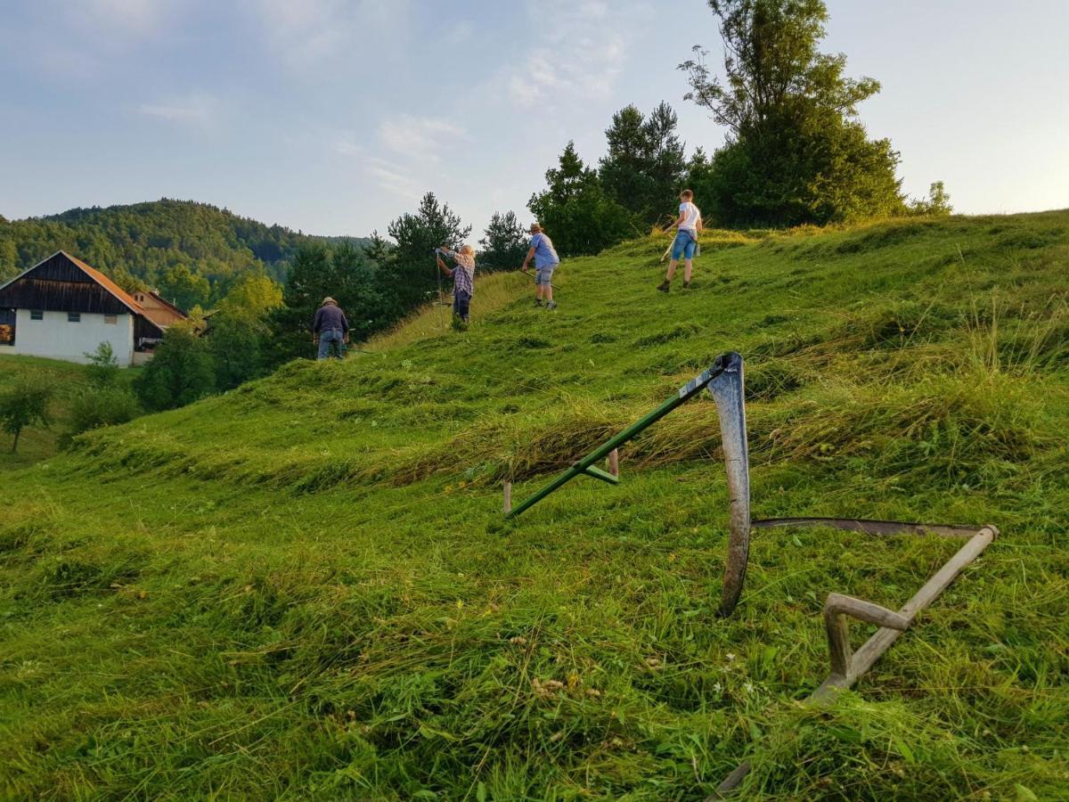 Notranjska Hisa - Traditional Country House, Close To The World Attraction Cerknica Lake Begunje pri Cerknici Exterior foto