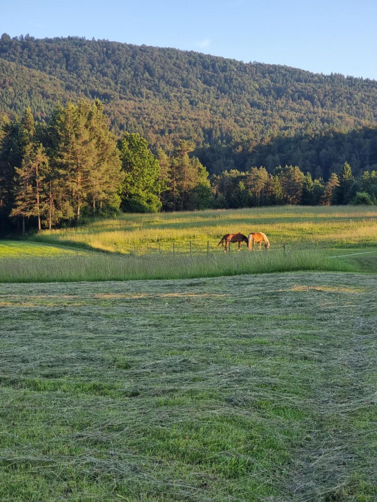 Notranjska Hisa - Traditional Country House, Close To The World Attraction Cerknica Lake Begunje pri Cerknici Exterior foto